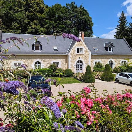 Chateau De La Menaudiere Chissay-en-Touraine Kültér fotó