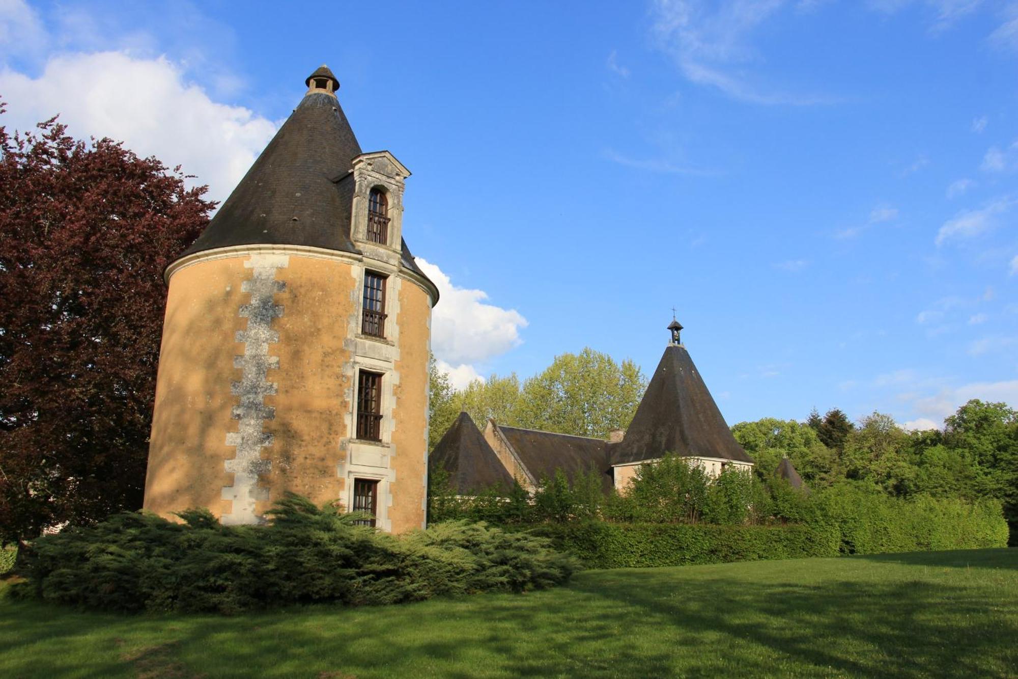 Chateau De La Menaudiere Chissay-en-Touraine Kültér fotó