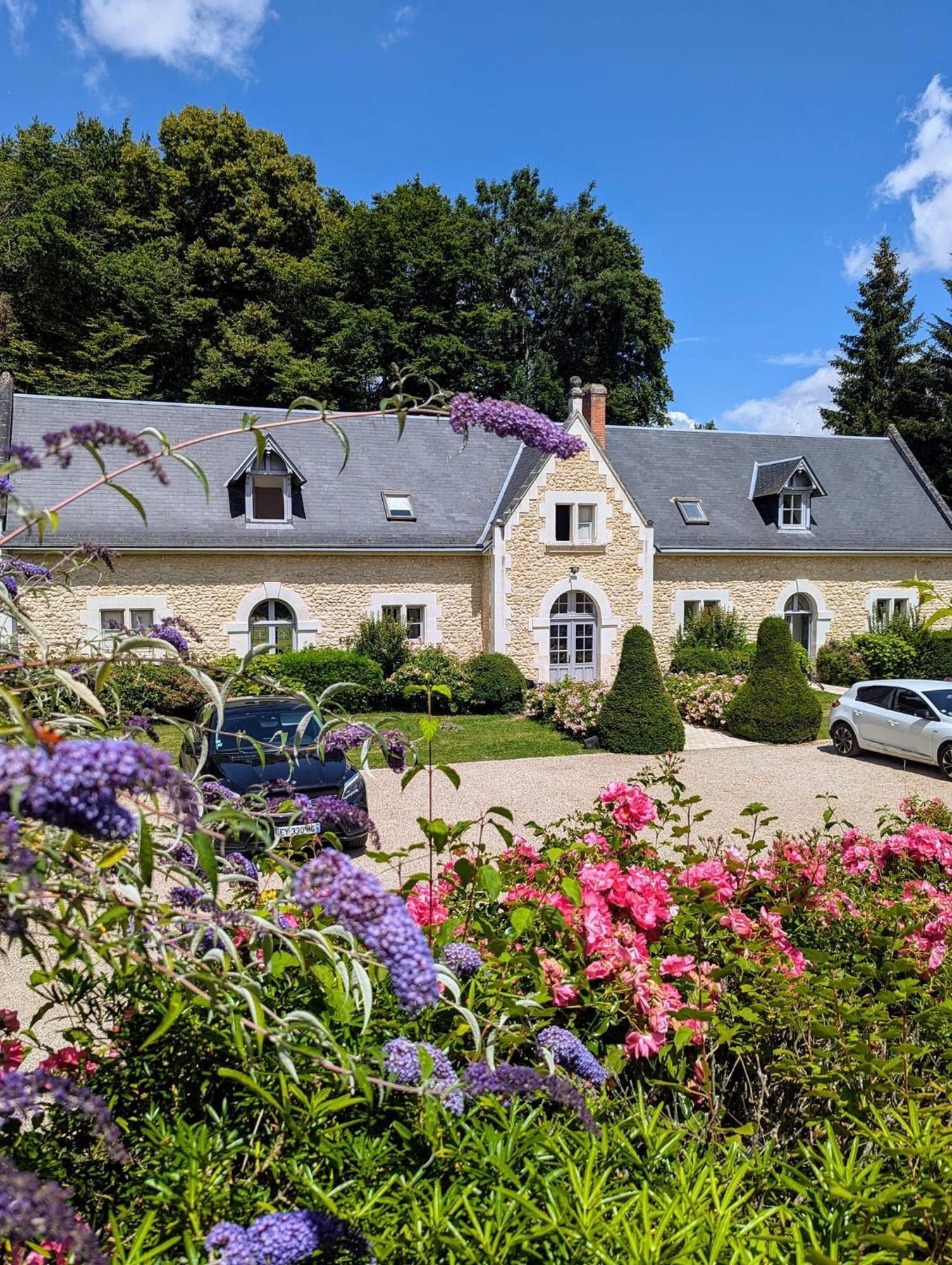 Chateau De La Menaudiere Chissay-en-Touraine Kültér fotó