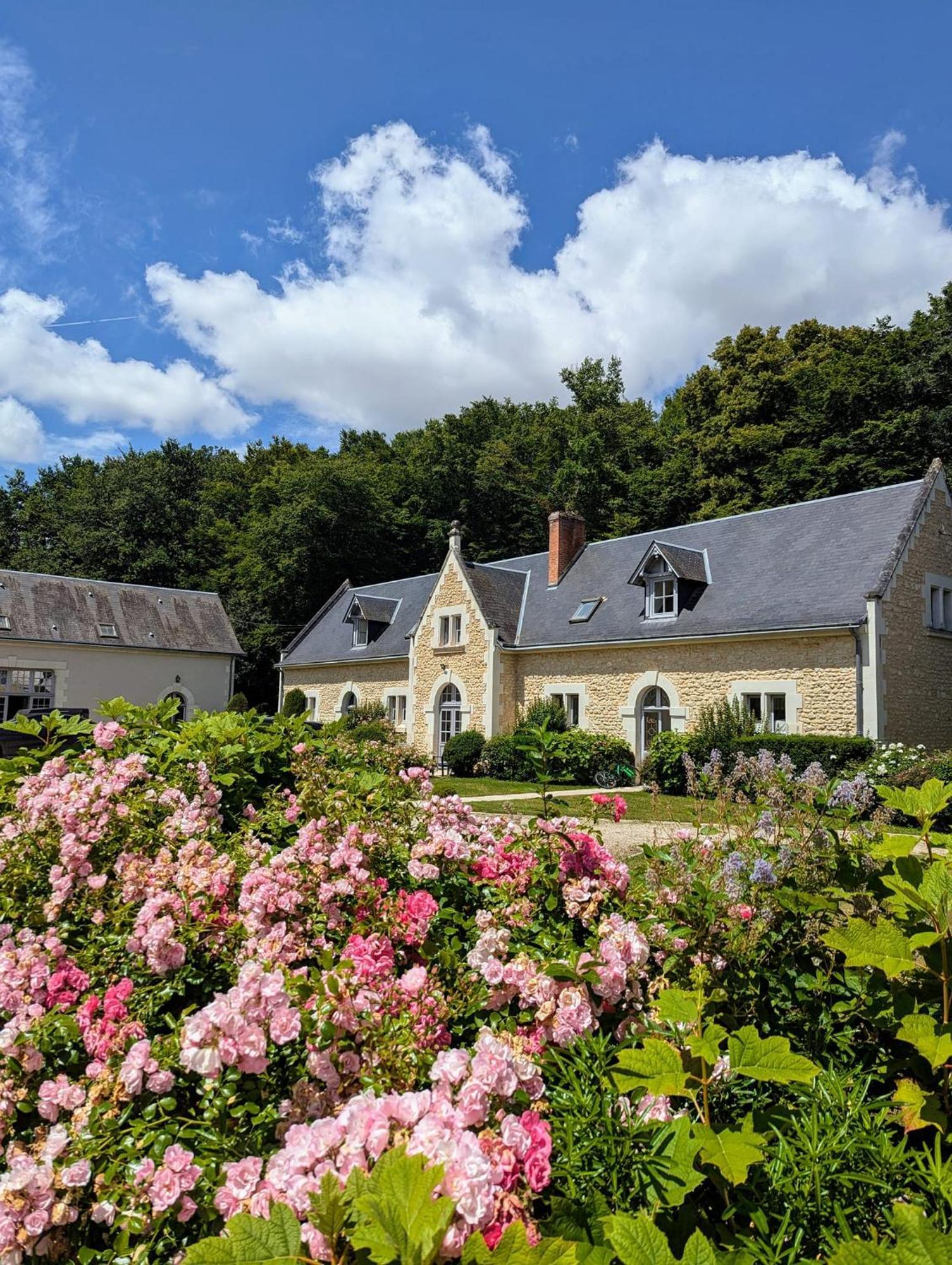 Chateau De La Menaudiere Chissay-en-Touraine Kültér fotó
